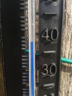 Hot day. 38°C (100°F)